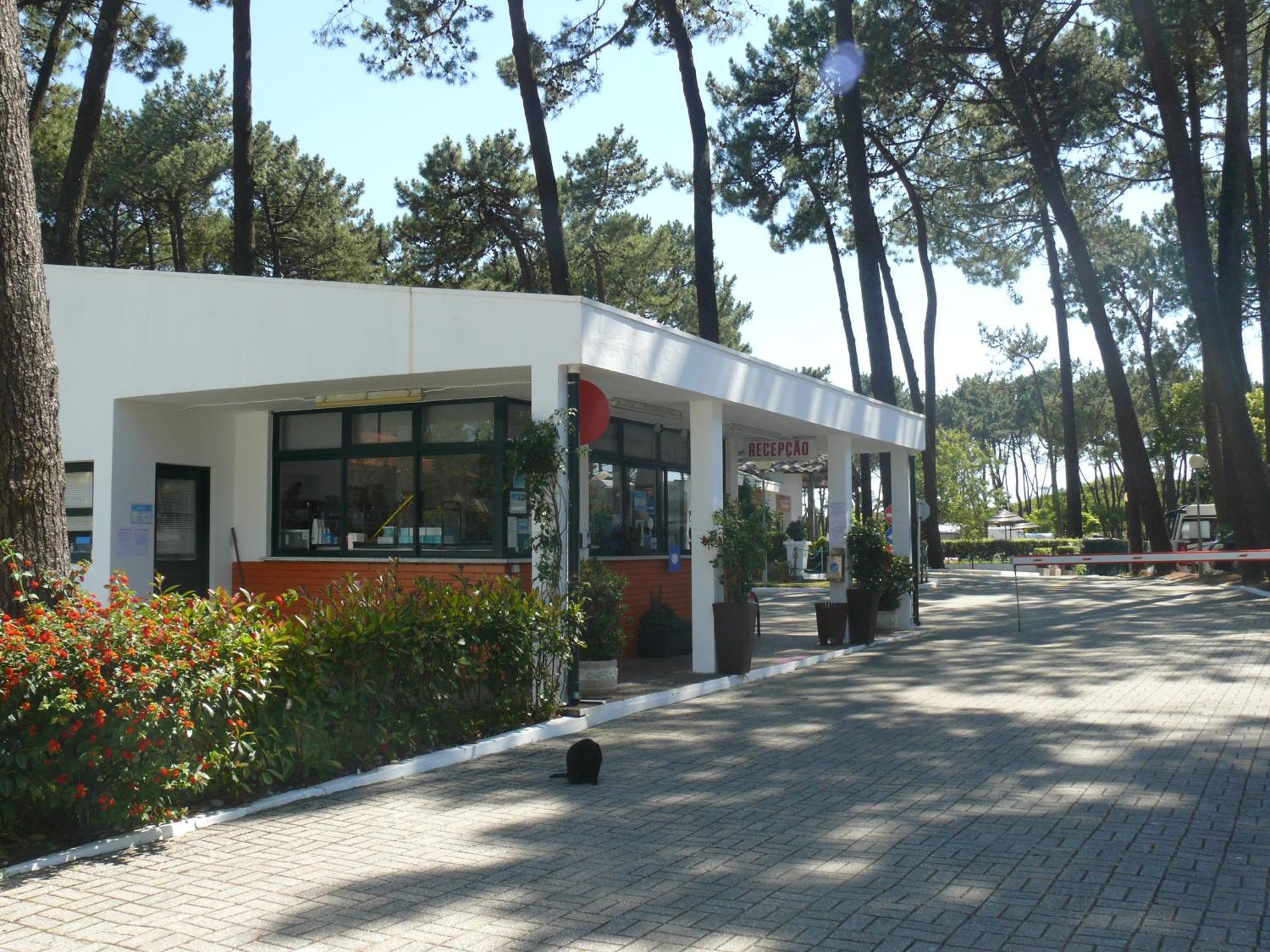 Parque De Campismo Orbitur Viana Do Castelo Hotel Bagian luar foto