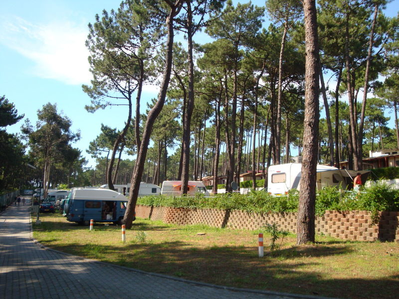 Parque De Campismo Orbitur Viana Do Castelo Hotel Bagian luar foto